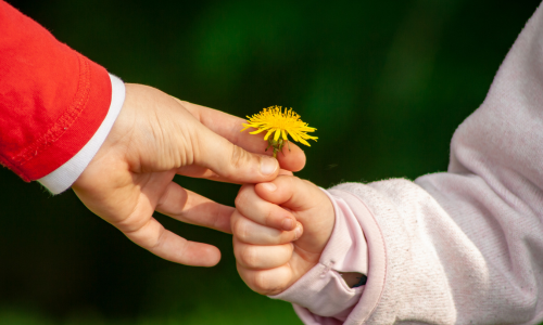 The medicinal effects of generosity